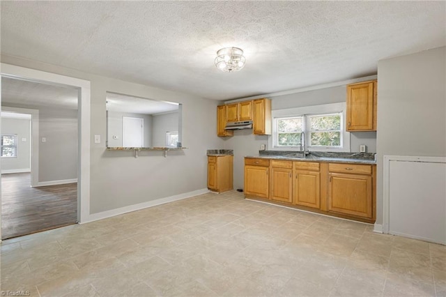 kitchen with sink and a textured ceiling