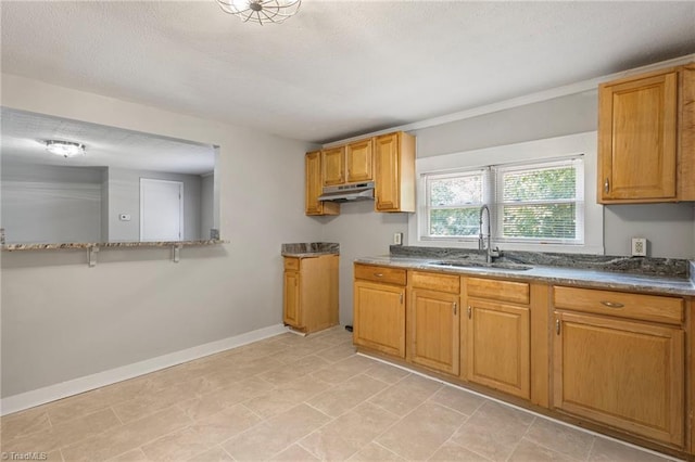 kitchen with sink