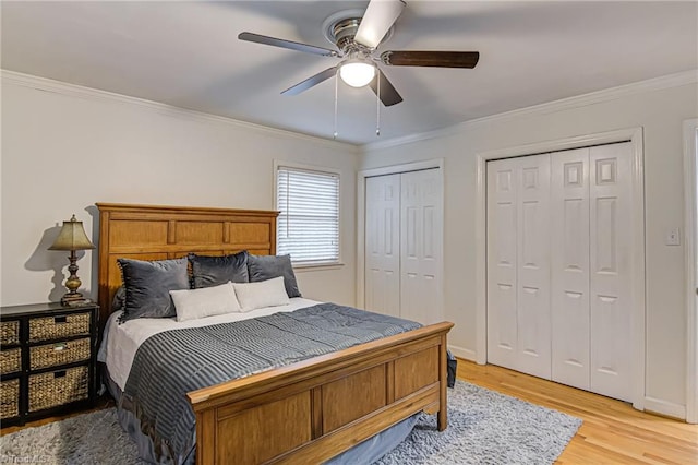 bedroom featuring two closets, crown molding, ceiling fan, and light wood-type flooring