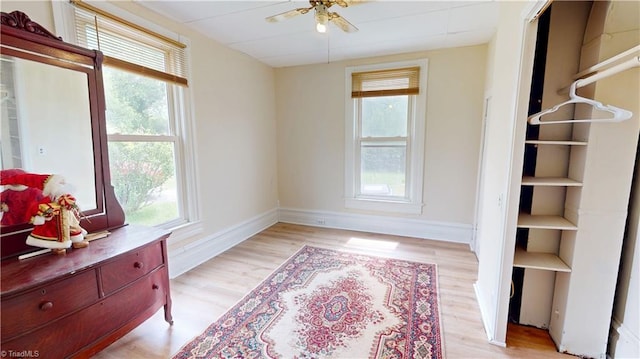 living area featuring plenty of natural light, a ceiling fan, and light wood finished floors