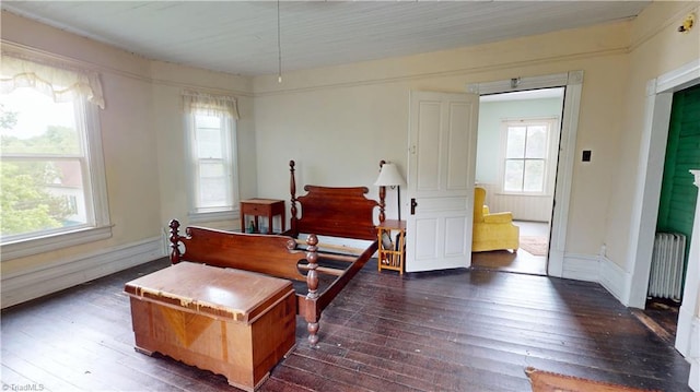 bedroom with radiator heating unit, multiple windows, and hardwood / wood-style floors