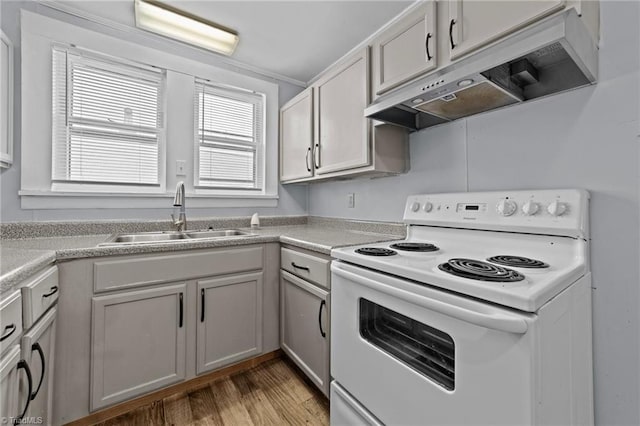 kitchen with under cabinet range hood, a sink, electric stove, light countertops, and light wood-type flooring