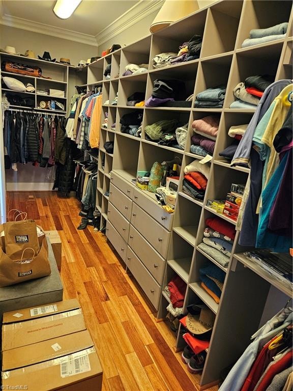 walk in closet with light hardwood / wood-style floors