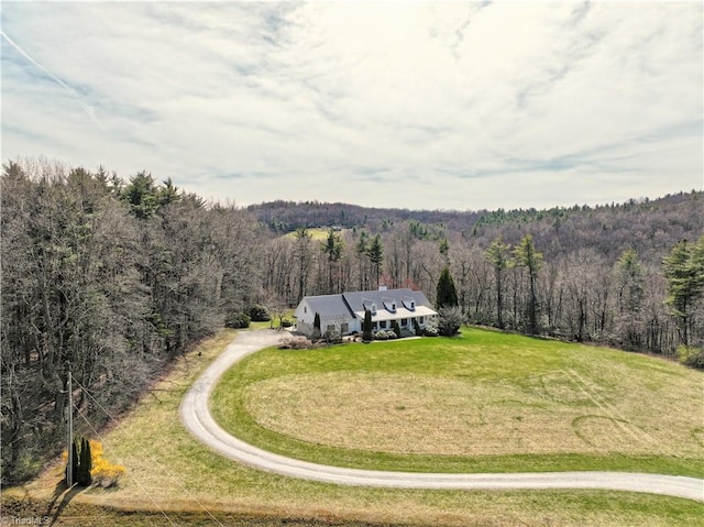183 Hurricane Ridge Rd, Meadows Of Dan, VA 24120 - view from above of property featuring a heavily wooded area