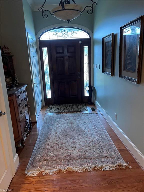 foyer with dark hardwood / wood-style floors and plenty of natural light