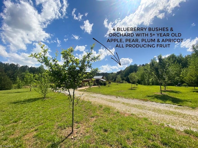 000 Hoover Hill Rd, Trinity, NC 27370