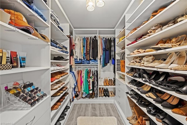 spacious closet featuring wood finished floors