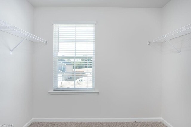 walk in closet with carpet flooring