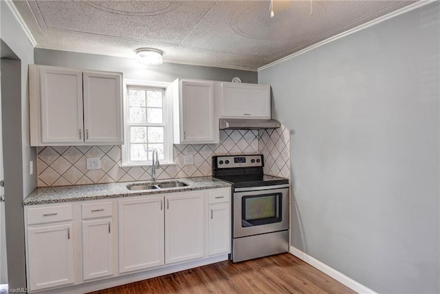 kitchen with under cabinet range hood, wood finished floors, a sink, stainless steel electric range, and decorative backsplash