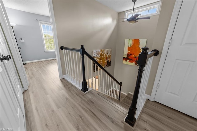 900 Biloxi Ave, Kernersville, NC 27284 - entrance foyer with a ceiling fan, wood finished floors, and baseboards
