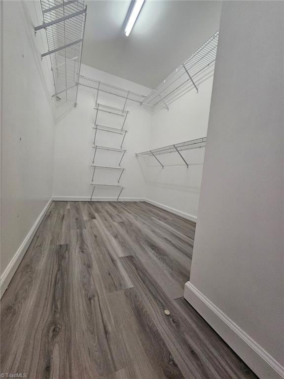 900 Biloxi Ave, Kernersville, NC 27284 - walk in closet with wood finished floors