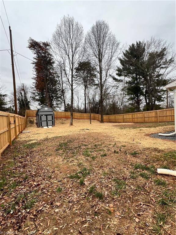 view of yard with a shed