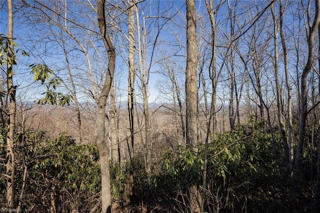 Listing photo 3 for LOT4 Green Point Ln, Boomer NC 28606