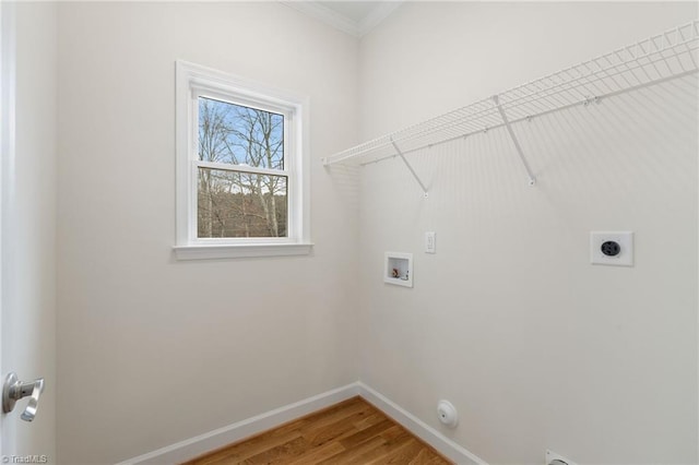 washroom with baseboards, light wood finished floors, laundry area, electric dryer hookup, and washer hookup