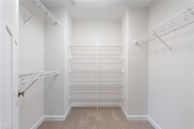 spacious closet featuring visible vents and carpet floors