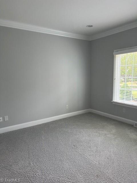 375 Hollybrook Dr, Bermuda Run, NC 27006 - carpeted spare room featuring crown molding and baseboards
