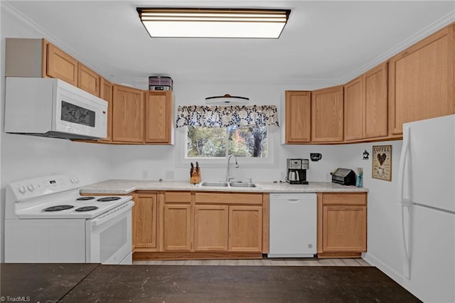 kitchen featuring white appliances, sink, and ornamental molding