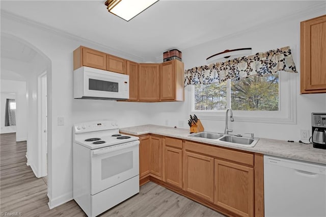 kitchen featuring white appliances, light hardwood / wood-style floors, and sink