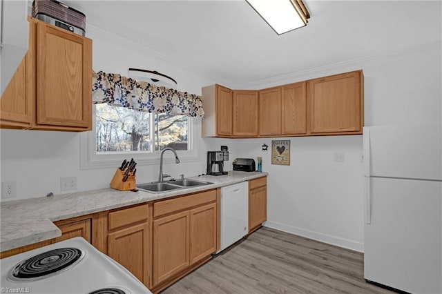 kitchen featuring crown molding, sink, light hardwood / wood-style floors, and white appliances