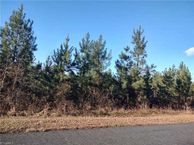 114 Harborgate Dr, Denton NC, 27239 land for sale