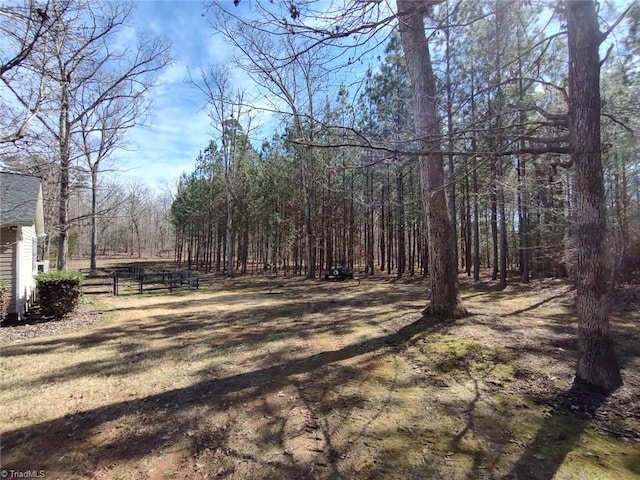 view of street featuring dirt driveway