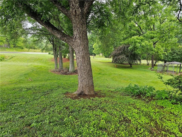 4875 Follansbee Rd, Winston-Salem, NC 27127 - view of grassy yard