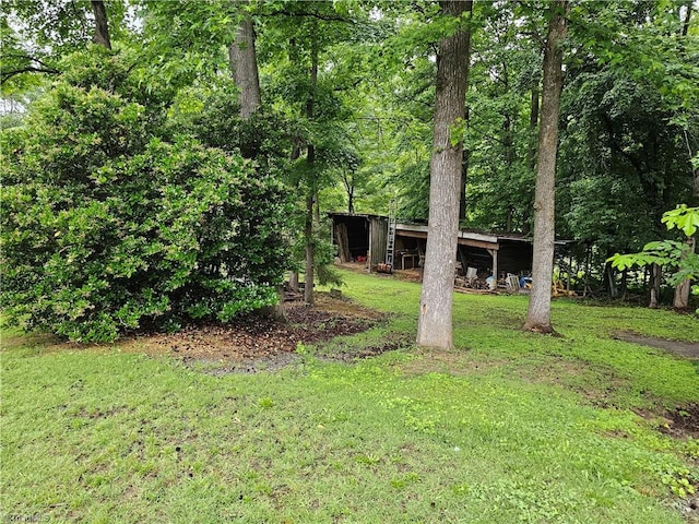 4875 Follansbee Rd, Winston-Salem, NC 27127 - view of green lawn