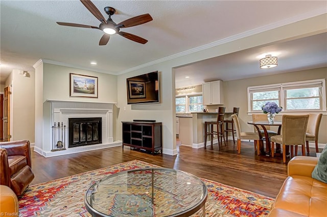 living room featuring ornamental molding, dark wood-style flooring, a glass covered fireplace, and baseboards