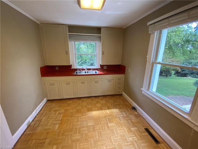 kitchen with light parquet floors, ornamental molding, and sink