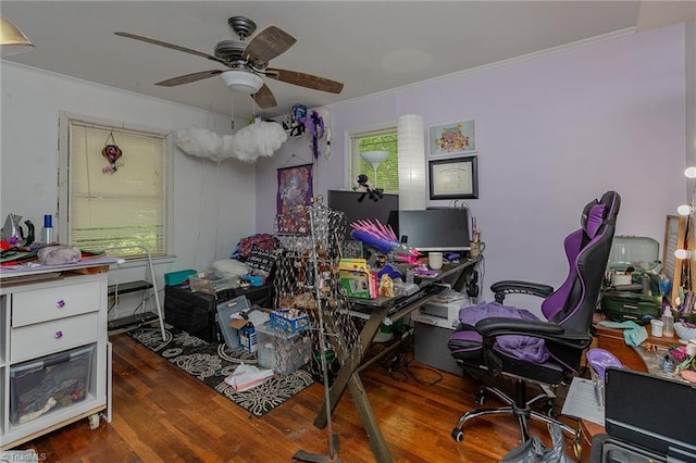 704 Summit Rd, High Point, NC 27265 - office featuring ornamental molding, wood finished floors, and ceiling fan