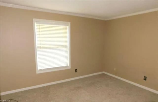 spare room with crown molding, light colored carpet, and baseboards