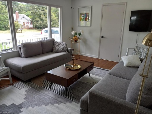 living room with light wood-type flooring