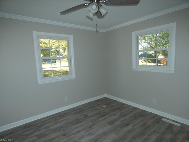 spare room featuring dark hardwood / wood-style floors, ornamental molding, and a wealth of natural light