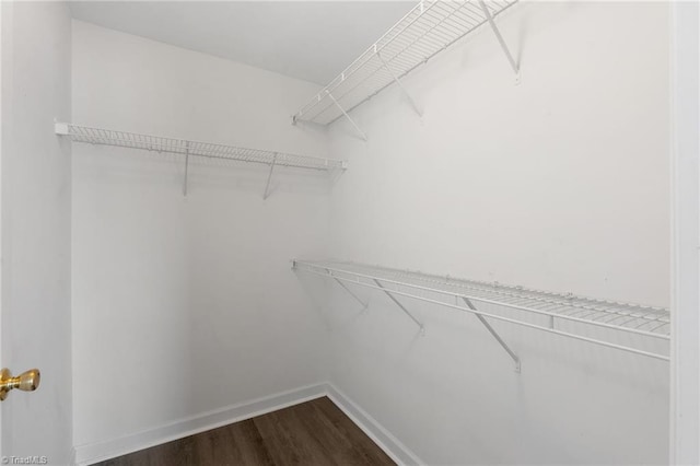 walk in closet featuring dark wood-style floors