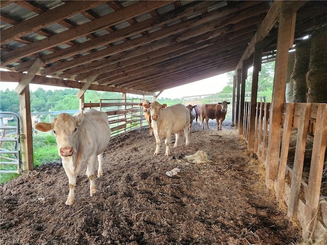 view of horse barn