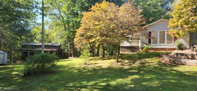 view of yard with a shed and a deck