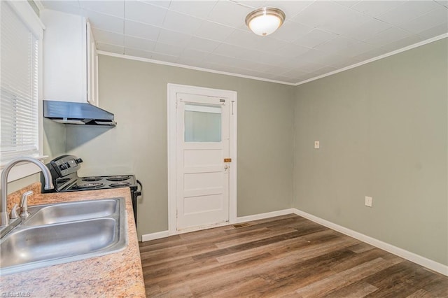 kitchen featuring hardwood / wood-style flooring, ventilation hood, sink, and ornamental molding