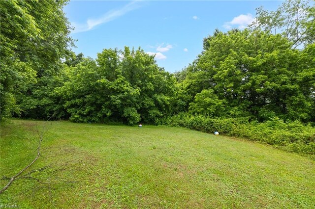 1198 Red Bank Rd, Germanton, NC 27019 - view of green lawn featuring a forest view