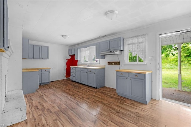 1198 Red Bank Rd, Germanton, NC 27019 - kitchen featuring gray cabinetry, under cabinet range hood, wood finished floors, ornamental molding, and a sink