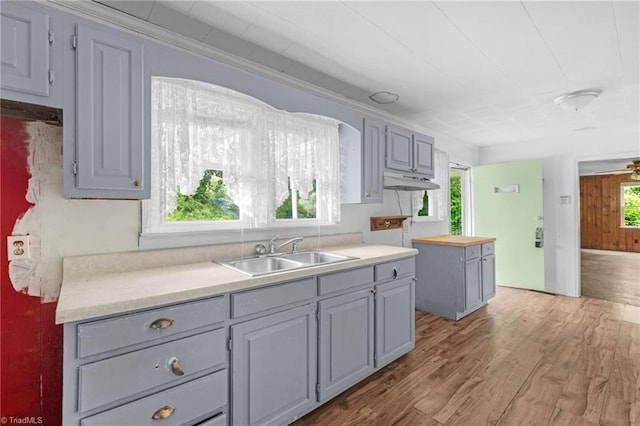 1198 Red Bank Rd, Germanton, NC 27019 - kitchen featuring a sink, gray cabinetry, and healthy amount of natural light