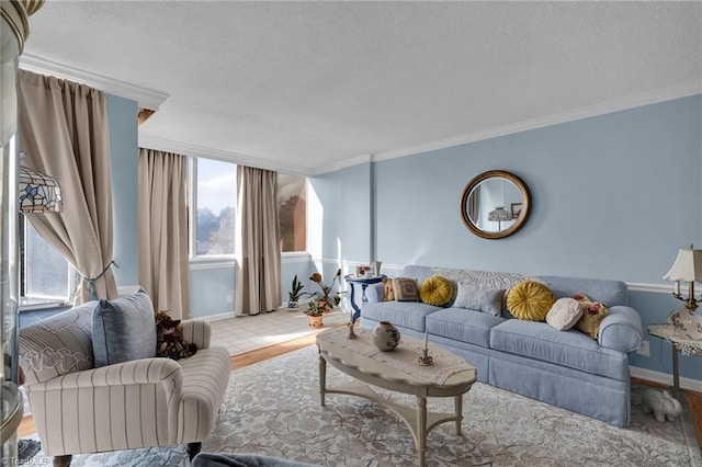 living room featuring a textured ceiling, light hardwood / wood-style flooring, and crown molding