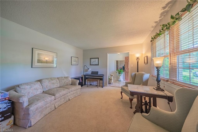 2205 Sedgemont Dr, Winston-Salem, NC 27103 - carpeted living area featuring a textured ceiling