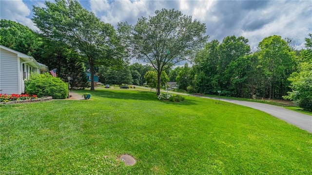 2205 Sedgemont Dr, Winston-Salem, NC 27103 - view of green lawn