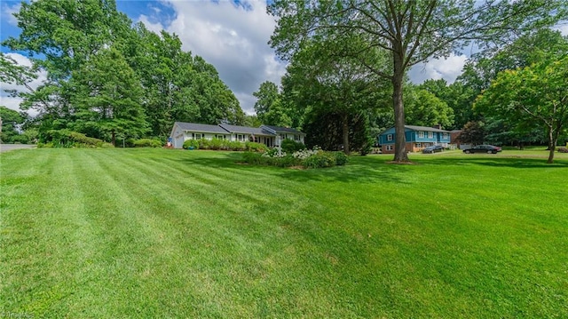 2205 Sedgemont Dr, Winston-Salem, NC 27103 - view of green lawn