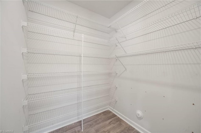 walk in closet featuring wood finished floors