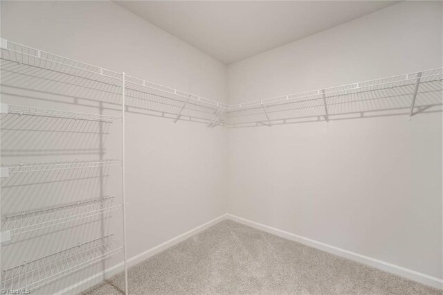 spacious closet with carpet floors