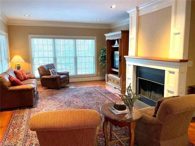 living room featuring light hardwood / wood-style floors and crown molding