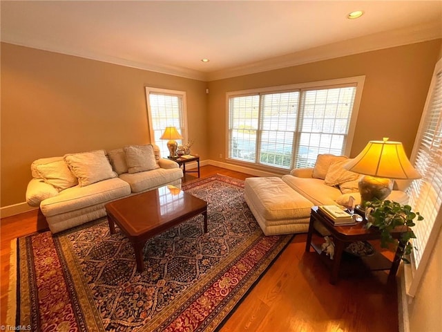 living room featuring hardwood / wood-style floors and ornamental molding