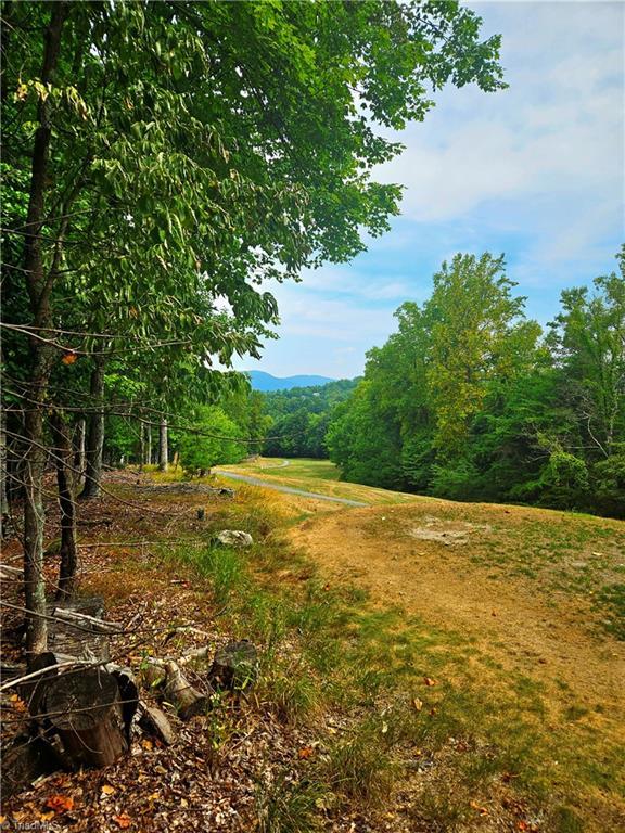 133 View Point Dr, Traphill NC, 28685 land for sale