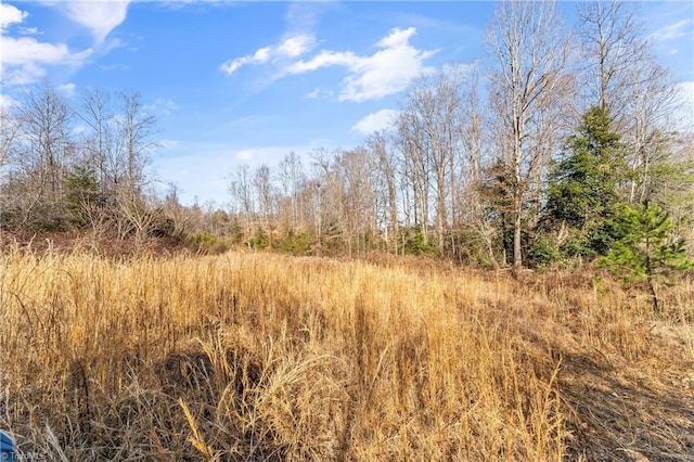 view of local wilderness